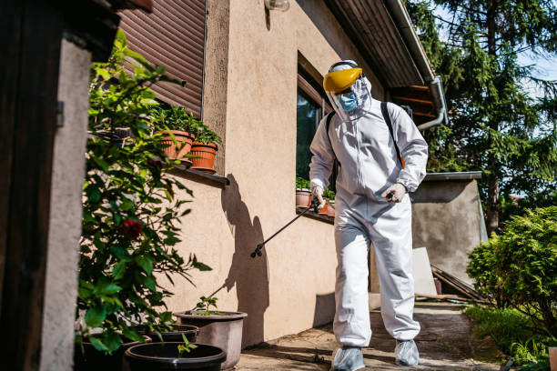 Best Best Pest Control Companies  in Helena Valley Northwest, MT