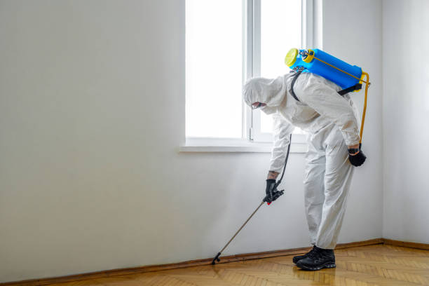 Best Affordable Pest Control Services  in Helena Valley Northwest, MT