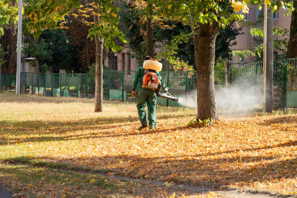 Professional Pest Control in Helena Valley Northwest, MT